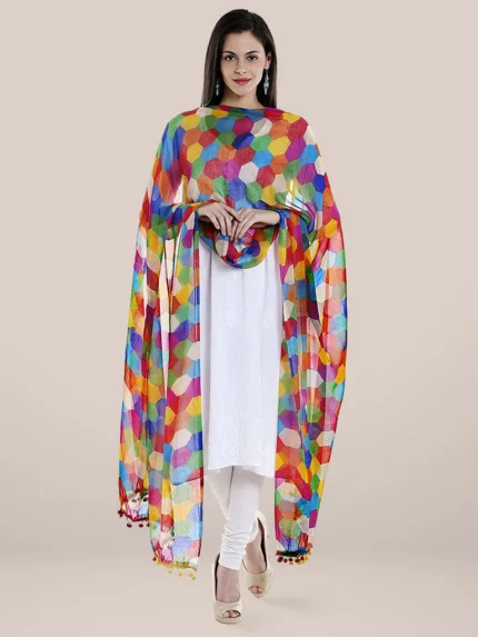 Multicoloured Printed Chiffon Dupatta
